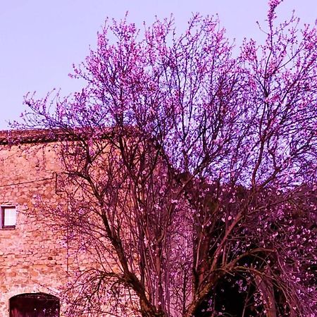 El Castell De Seguero Appartement Beuda Buitenkant foto