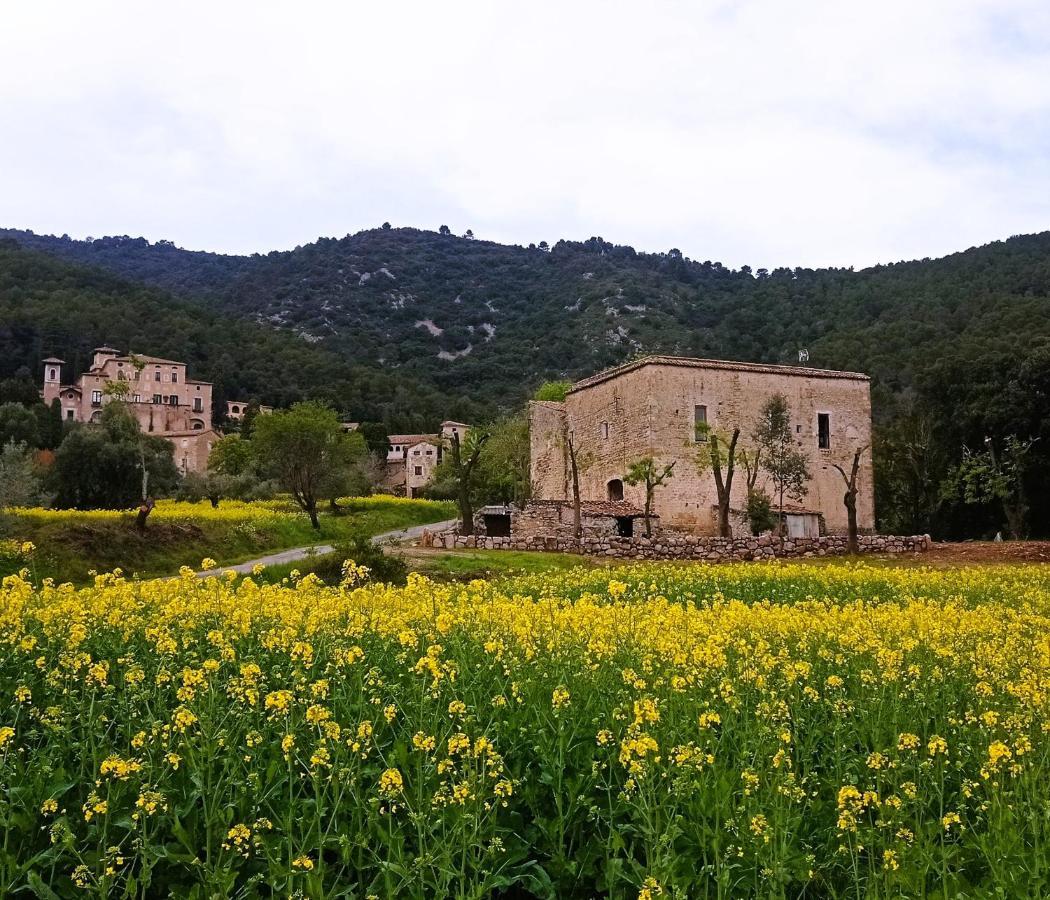 El Castell De Seguero Appartement Beuda Buitenkant foto