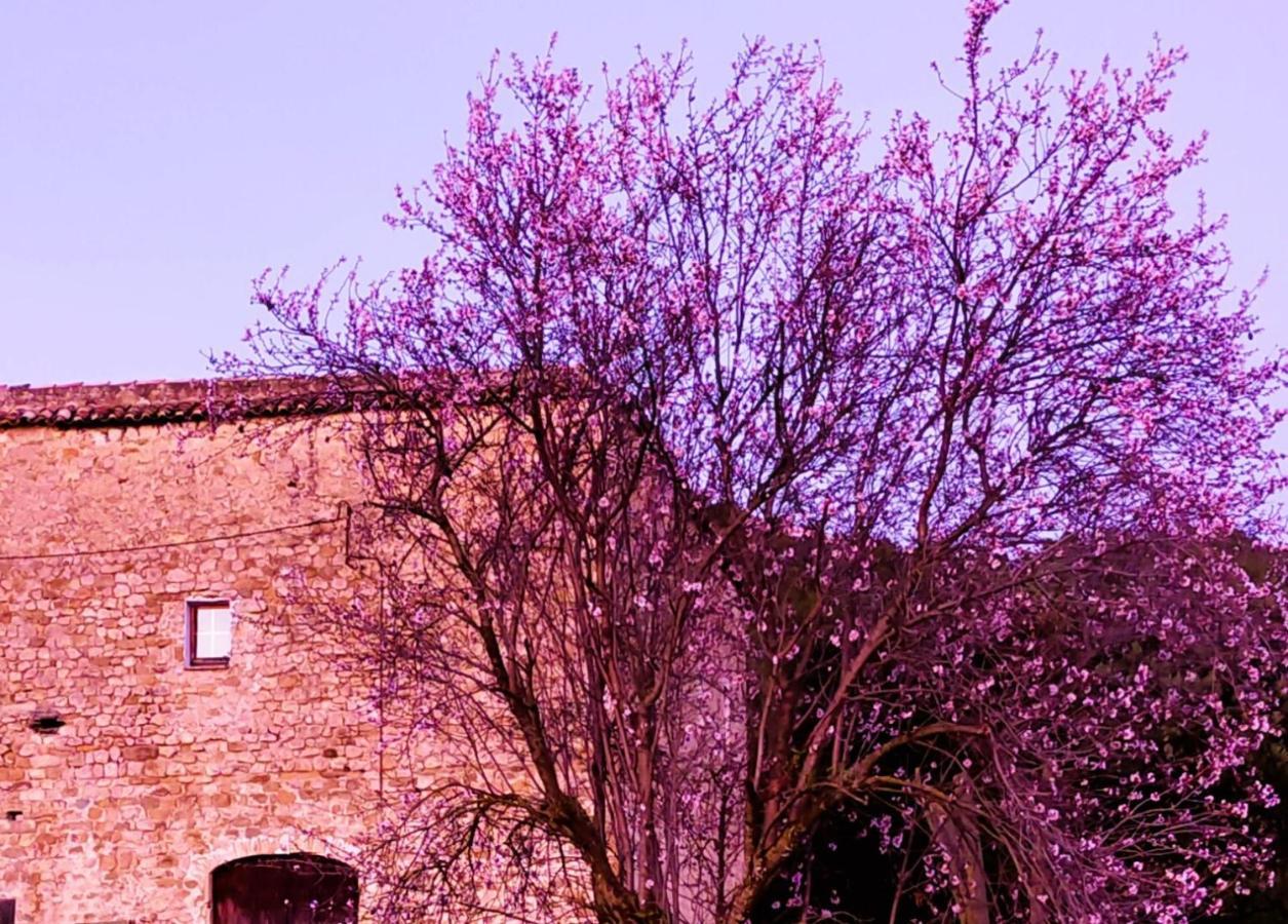 El Castell De Seguero Appartement Beuda Buitenkant foto