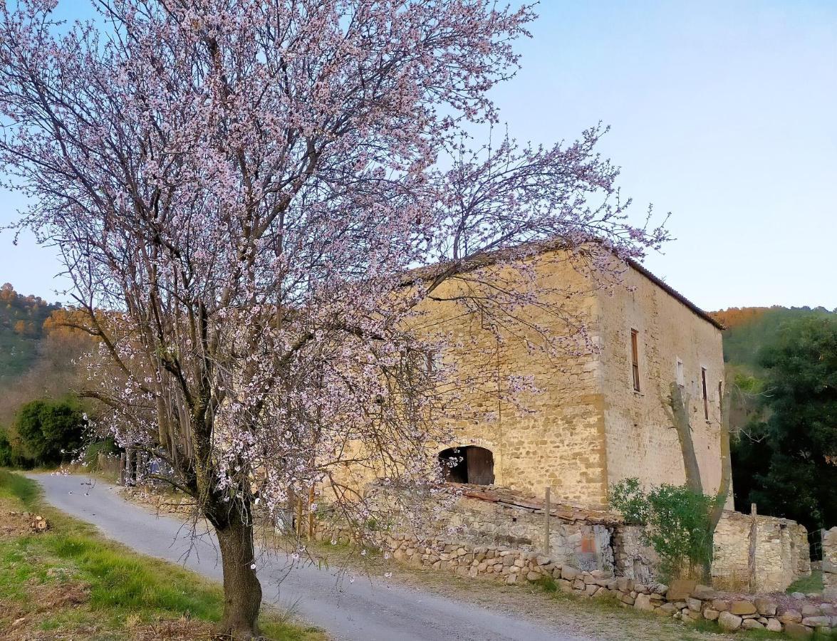 El Castell De Seguero Appartement Beuda Buitenkant foto
